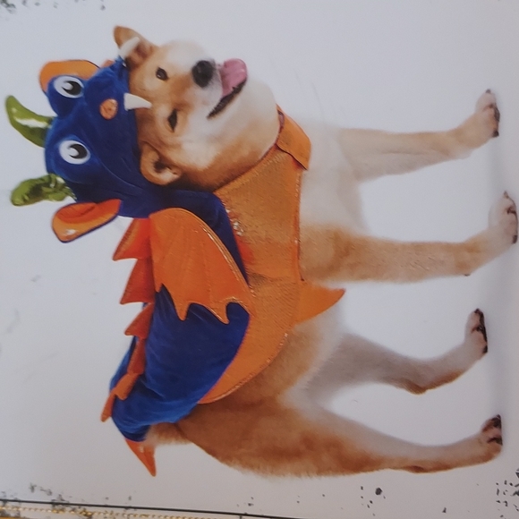 Spooky Night Other - Pet Costume